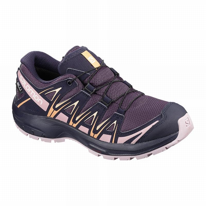 Salomon Israel XA PRO 3D CLIMASALOMON™ WATERPROOF - Kids Hiking Shoes - Purple/Blue (QWSL-76325)